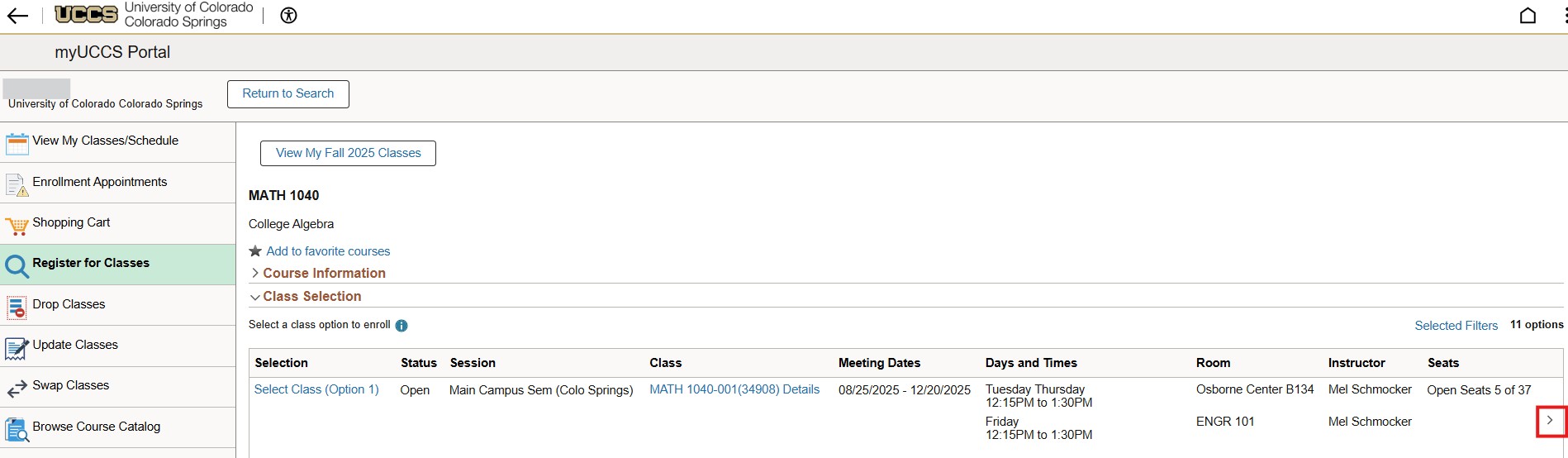 Screenshot of selection arrow.